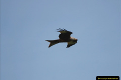 185.2019-04-14-to-15-Dorchester-on-Thames-Oxfordshire.-185-