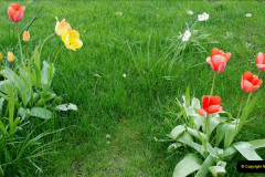 191.2019-04-14-to-15-Dorchester-on-Thames-Oxfordshire.-191-