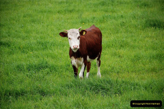 034.2019-04-26-Basildon-Park-NT-near-Reading-Berkshire.-34-