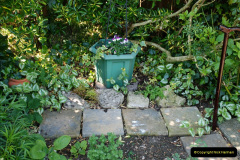 034.2019-04-21-A-Poole-Garden-in-Spring.-34