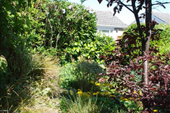 044.2019-04-21-A-Poole-Garden-in-Spring.-44