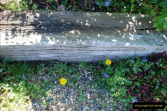 077.2019-04-21-A-Poole-Garden-in-Spring.-77