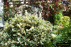 124.2019-04-21-A-Poole-Garden-in-Spring.-124