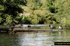 129.2019-08-20-Cliveden-NT-Taplow-Maidenhead-Berkshire.-129-