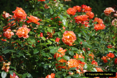 155.2019-08-20-Cliveden-NT-Taplow-Maidenhead-Berkshire.-155-