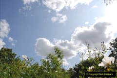 196.2019-08-20-Cliveden-NT-Taplow-Maidenhead-Berkshire.-196-