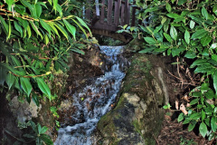 035.2019-12-02-Compton-Acres-Poole-Dorset.-35-