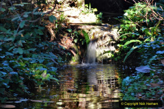 046.2019-12-02-Compton-Acres-Poole-Dorset.-46-