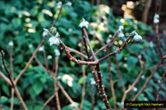 056.2019-12-02-Compton-Acres-Poole-Dorset.-56-