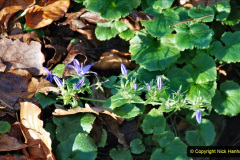 104.2019-12-02-Compton-Acres-Poole-Dorset.-104-