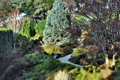 114.2019-12-02-Compton-Acres-Poole-Dorset.-114-