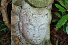 141.2019-12-02-Compton-Acres-Poole-Dorset.-141-