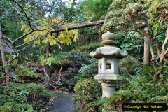 146.2019-12-02-Compton-Acres-Poole-Dorset.-146-