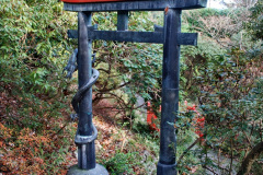 147.2019-12-02-Compton-Acres-Poole-Dorset.-147-