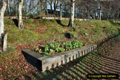 227.2019-12-07-SR-Santa-Specials.-227-Swanage.-