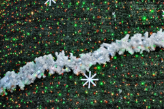 040.2019-12-09-Bournemouth-Christmas-Lights.-40-