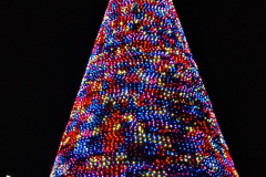 177.2019-12-09-Bournemouth-Christmas-Lights.-177-