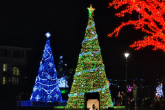 192.2019-12-09-Bournemouth-Christmas-Lights.-192-