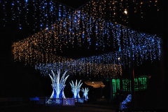 193.2019-12-09-Bournemouth-Christmas-Lights.-193-