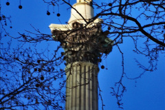 029.2019-12-16-London.-188-