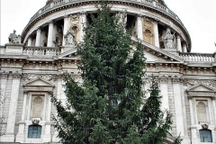 112.2019-12-16-London.-105-