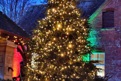 012.2019-12-20-Kingston-Lacy-NT-Wimborne-Dorset-Christmas-Lights.-12-