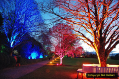 020.2019-12-20-Kingston-Lacy-NT-Wimborne-Dorset-Christmas-Lights.-20-