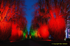 032.2019-12-20-Kingston-Lacy-NT-Wimborne-Dorset-Christmas-Lights.-32-