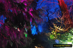 044.2019-12-20-Kingston-Lacy-NT-Wimborne-Dorset-Christmas-Lights.-44-