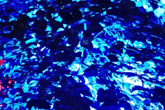 046.2019-12-20-Kingston-Lacy-NT-Wimborne-Dorset-Christmas-Lights.-46-