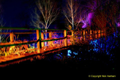 054.2019-12-20-Kingston-Lacy-NT-Wimborne-Dorset-Christmas-Lights.-54-