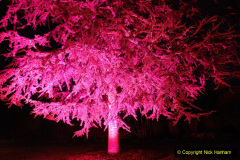 065.2019-12-20-Kingston-Lacy-NT-Wimborne-Dorset-Christmas-Lights.-65-
