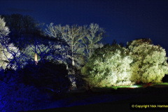 076.2019-12-20-Kingston-Lacy-NT-Wimborne-Dorset-Christmas-Lights.-76-
