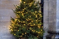 002.2019-12-21-St.-Aldhelms-Church-Christmas-Trees.-2-