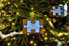 025.2019-12-21-St.-Aldhelms-Church-Christmas-Trees.-25-