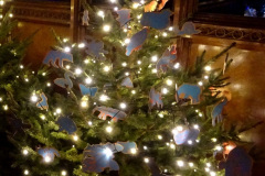 029.2019-12-21-St.-Aldhelms-Church-Christmas-Trees.-29-