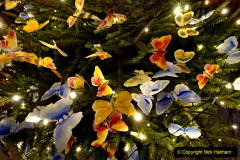 043.2019-12-21-St.-Aldhelms-Church-Christmas-Trees.-43-