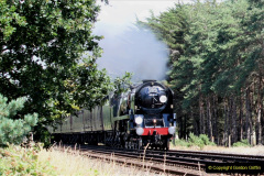 001.2019-07-06-Near-Wareham-Dorset.-1