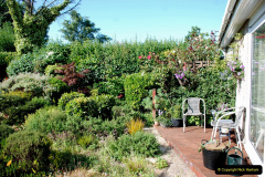 003.2019-07-11-A-Poole-Garden-in-Summer.-3-