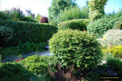 099.2019-07-11-A-Poole-Garden-in-Summer.-99-
