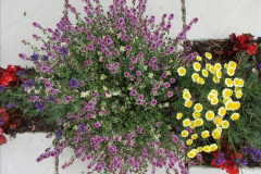 114.2019-07-11-A-Poole-Garden-in-Summer.-114-