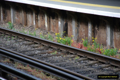 018.2019-06-02-MBF-Meeting-on-the-IOW.-18