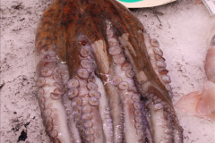 218.2019-June-28-to-05-July-PP-MV-Orian-France-Spain-and-Guernsey.-218-Ferrol-Spain.-The-fish-market.-