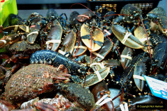 222.2019-June-28-to-05-July-PP-MV-Orian-France-Spain-and-Guernsey.-222-Ferrol-Spain.-The-fish-market.-