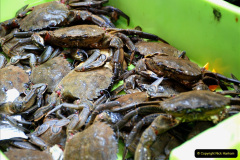 224.2019-June-28-to-05-July-PP-MV-Orian-France-Spain-and-Guernsey.-224-Ferrol-Spain.-The-fish-market.-