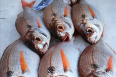227.2019-June-28-to-05-July-PP-MV-Orian-France-Spain-and-Guernsey.-226-Ferrol-Spain.-The-fish-market.-