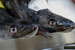 229.2019-June-28-to-05-July-PP-MV-Orian-France-Spain-and-Guernsey.-228-Ferrol-Spain.-The-fish-market.-