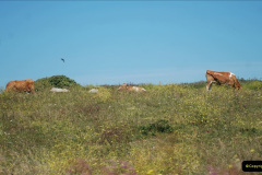 069.2019-June-28-to-05-July-PO-MV-Oriana-France-Spain-and-Guernsey.-69-Guernsey-CI.-Round-the-island-costal-bus-ride.-
