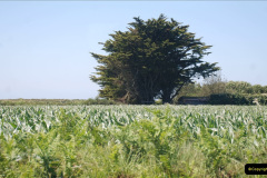 114.2019-June-28-to-05-July-PO-MV-Oriana-France-Spain-and-Guernsey.-114-Guernsey-CI.-Round-the-island-costal-bus-ride.-