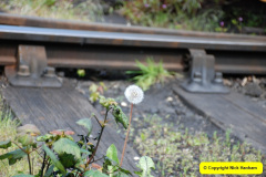 023.2019-05-21-Lunch-Time-on-the-SR.-23-